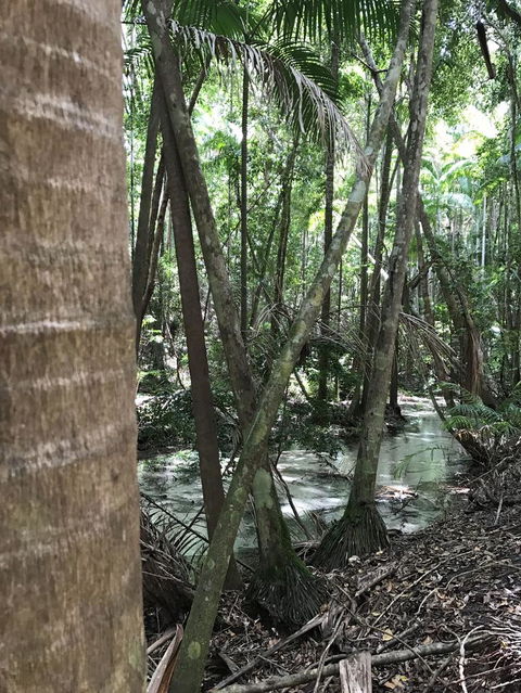 5-Day Fraser Island And Great Barrier Reef Tour - Tourism Gold Coast 4