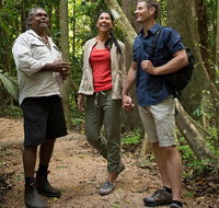Mossman Gorge Dreamtime Walk and Low Isles Snorkeling and Sailing Cruise - Tourism Gold Coast