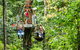 Cape Tribulation Jungle Surfing Canopy Tour - thumb 1