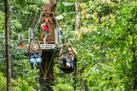 Cape Tribulation Jungle Surfing Canopy Tour - Tourism Gold Coast 1