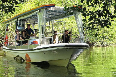 Cairns Reef And Rainforest Combo: Daintree Rainforest And The Great Barrier Reef - Tourism Gold Coast 5