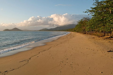 Cairns Reef And Rainforest Combo: Daintree Rainforest And The Great Barrier Reef - Tourism Gold Coast 10
