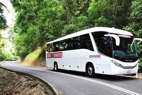 Port Douglas Departure Transfer - Port Douglas To Airport - Tourism Gold Coast 1