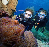 Quicksilver Dive 4 Day PADI Learn to Dive Course - Tourism Gold Coast