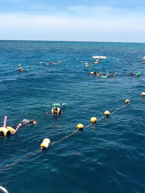 Quicksilver Outer Great Barrier Reef Snorkel Cruise From Port Douglas - Tourism Gold Coast 2