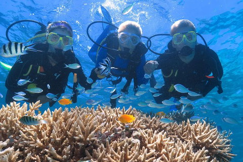 Quicksilver Outer Great Barrier Reef Snorkel Cruise From Port Douglas - Tourism Gold Coast 1
