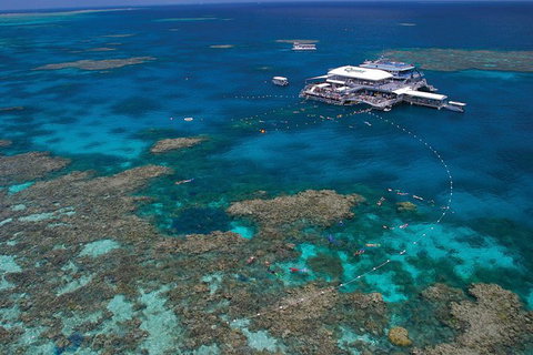 Quicksilver Outer Great Barrier Reef Snorkel Cruise From Port Douglas - Tourism Gold Coast 0