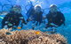 Quicksilver Outer Great Barrier Reef Snorkel Cruise From Port Douglas - thumb 6