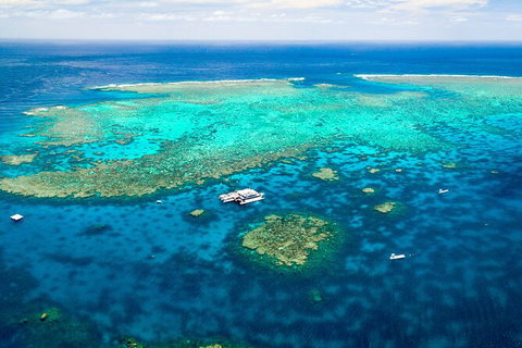 Quicksilver Outer Great Barrier Reef Snorkel Cruise From Port Douglas - Tourism Gold Coast 5