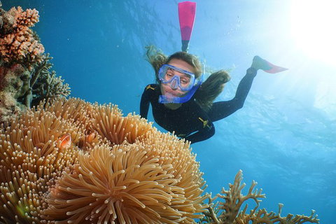 Quicksilver Outer Great Barrier Reef Snorkel Cruise From Port Douglas - Tourism Gold Coast 9