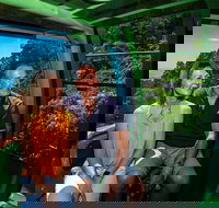 Skyrail Rainforest Cableway Day Trip from Palm Cove - Gold Coast