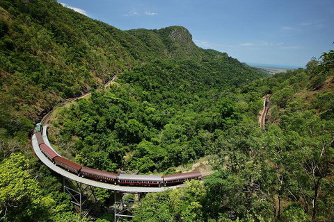 Skyrail Rainforest Cableway Day Trip From Palm Cove - Tourism Gold Coast 5