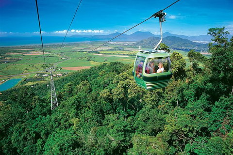 Skyrail Rainforest Cableway Day Trip From Palm Cove - Tourism Gold Coast 3