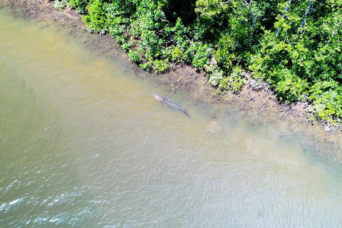 1-Hour Daintree River Wildlife Cruise - Tourism Gold Coast 11