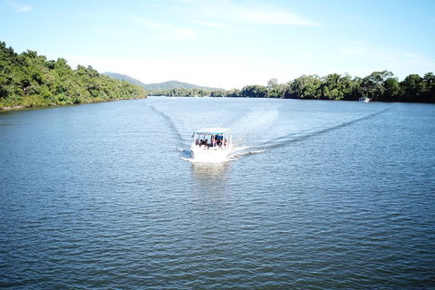 1-Hour Daintree River Wildlife Cruise - Tourism Gold Coast 9