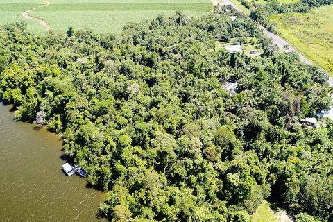 1-Hour Daintree River Wildlife Cruise - Tourism Gold Coast 5
