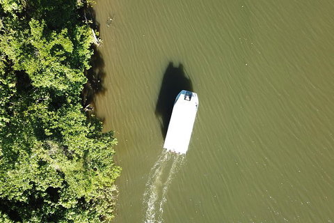 1-Hour Daintree River Wildlife Cruise - Tourism Gold Coast 3
