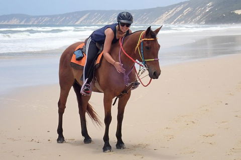 Rainbow Beach Horse Ride - Tourism Gold Coast 2