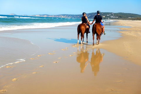 Rainbow Beach Horse Ride - Tourism Gold Coast 3