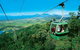 Kuranda Full-Day Small-Group Tour From Port Douglas - thumb 0