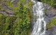 Kuranda Full-Day Small-Group Tour From Port Douglas - thumb 4