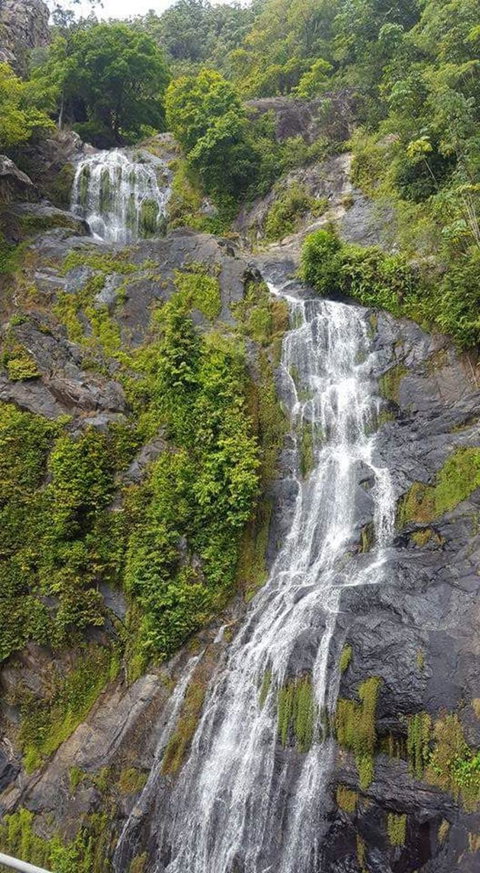 Kuranda Full-Day Small-Group Tour From Port Douglas - Tourism Gold Coast 4