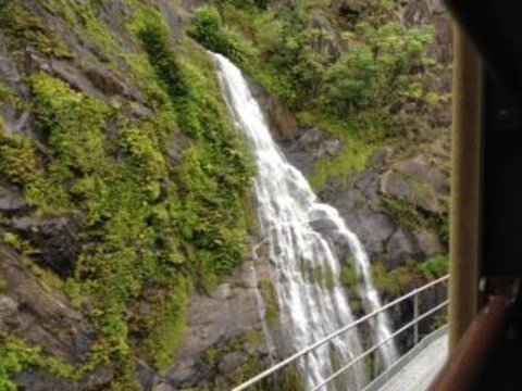 Kuranda Full-Day Small-Group Tour From Port Douglas - Tourism Gold Coast 7