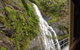 Kuranda Full-Day Small-Group Tour From Port Douglas - thumb 5
