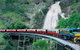 Kuranda Full-Day Small-Group Tour From Port Douglas - thumb 1