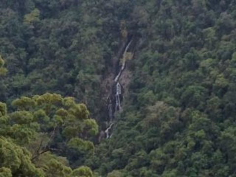 Kuranda Full-Day Small-Group Tour From Port Douglas - Tourism Gold Coast 9