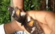 Kuranda Full-Day Small-Group Tour From Port Douglas - thumb 8