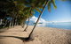 Kuranda Full-Day Small-Group Tour From Port Douglas - thumb 17