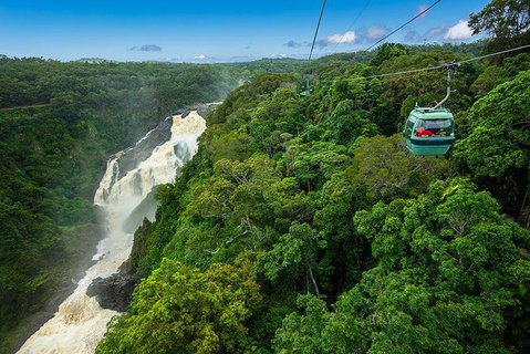 Kuranda Full-Day Small-Group Tour From Port Douglas - Tourism Gold Coast 13