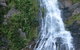 Kuranda Full-Day Small-Group Tour From Port Douglas - thumb 14