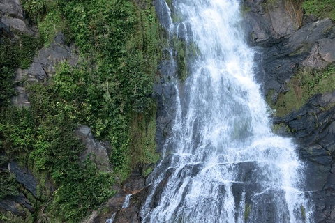 Kuranda Full-Day Small-Group Tour From Port Douglas - Tourism Gold Coast 14