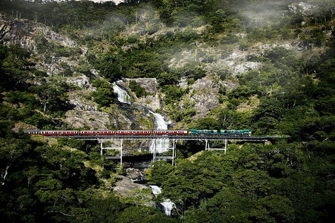 Kuranda Full-Day Small-Group Tour From Port Douglas - Tourism Gold Coast 16