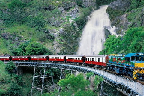 Kuranda Full-Day Small-Group Tour From Port Douglas - Tourism Gold Coast 11