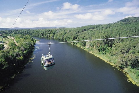 Kuranda Full-Day Small-Group Tour From Port Douglas - Tourism Gold Coast 12