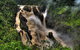 Kuranda Full-Day Small-Group Tour From Port Douglas - thumb 19