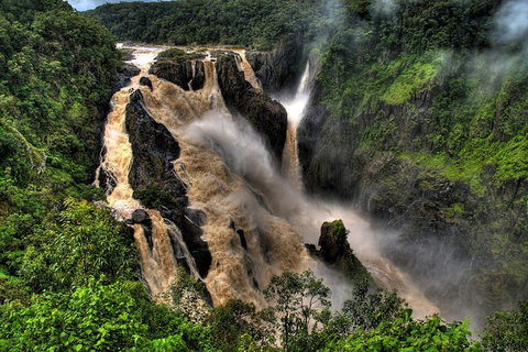 Kuranda Full-Day Small-Group Tour From Port Douglas - Tourism Gold Coast 19