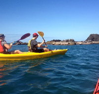 Port Douglas Half-Day Kayak Tour - Tourism Gold Coast