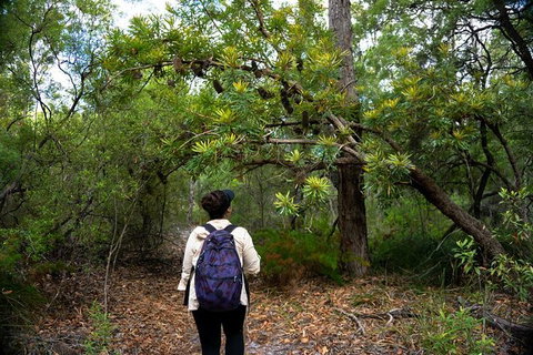 Pack-free Camping: Lake McKenzie Central Hike - 2 Days - Tourism Gold Coast 1
