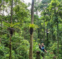 Cape Tribulation and Jungle Surfing Adventure Day from Port Douglas - Tourism Gold Coast