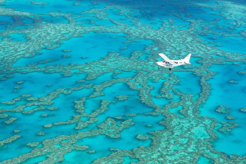 Scenic Flight - Great Barrier Reef, Heart Reef, Whitehaven Beach & Hill Inlet! - Gold Coast 8