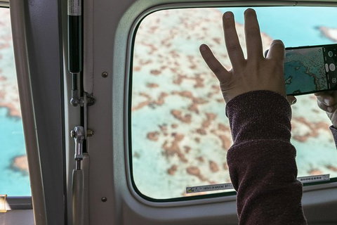 Scenic Flight - Great Barrier Reef, Heart Reef, Whitehaven Beach & Hill Inlet! - Gold Coast 4