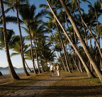 Port Douglas Round-Trip Transfer from Cairns with Free Time in Port Douglas - Tourism Gold Coast