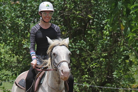Blazing Saddles Horse Riding - Tourism Gold Coast 9