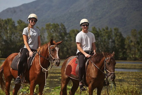 Blazing Saddles Horse Riding - Tourism Gold Coast 6