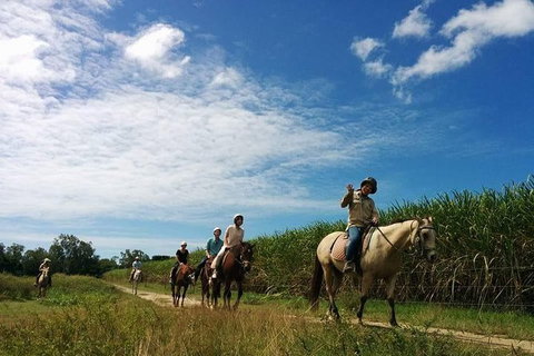 Blazing Saddles Horse Riding - Tourism Gold Coast 4