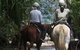 Blazing Saddles Horse Riding - thumb 2